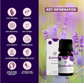 Skin Cafe Lavender Natural Essential Oil  (10 ml)